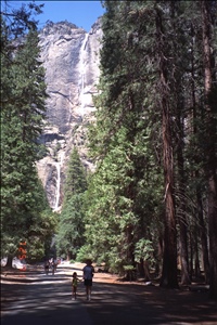 9400 1024 family yosemiteImg0078.jpg